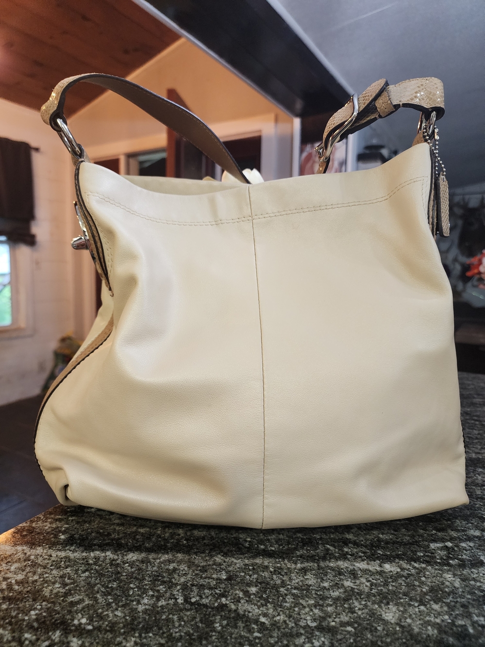 Coach Penelope Hobo Leather Shoulder Bag with Snake-Print Trim